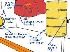 Ralph Cam Image